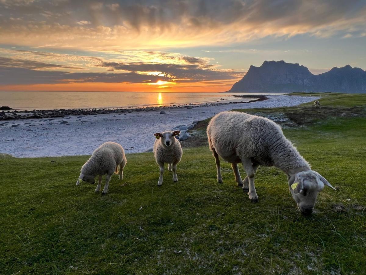 Real Fisherman'S Cabins In Ballstad, Lofoten Buitenkant foto